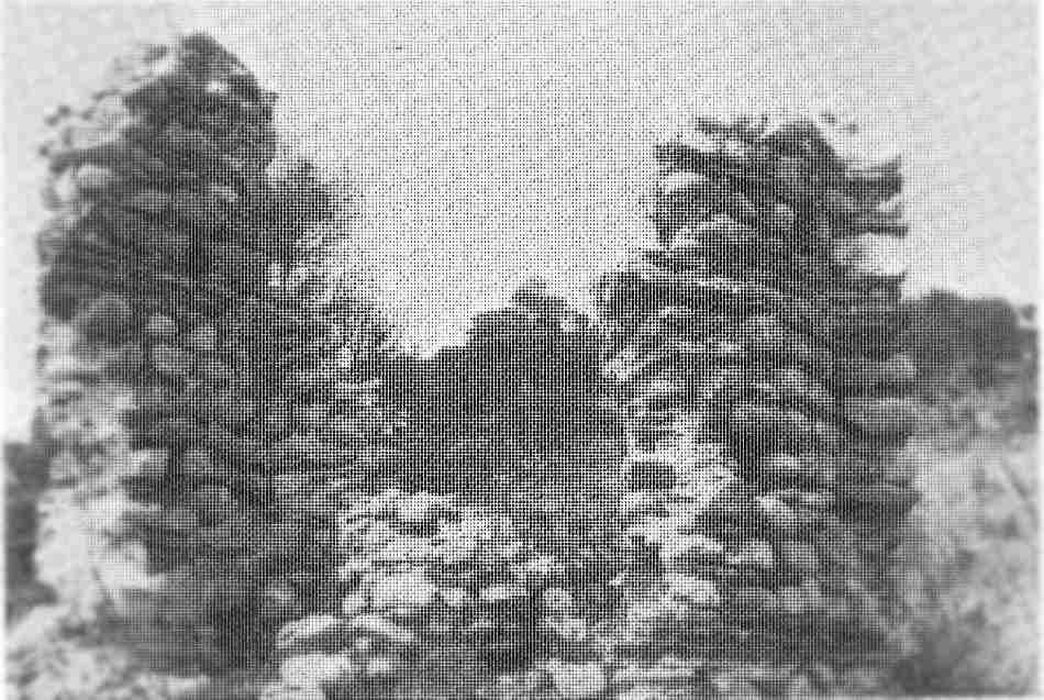 Ερείπια της Μονής Καλλύκα